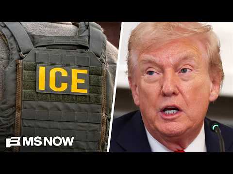 ICE prepares to spend up to $5 million on voter database