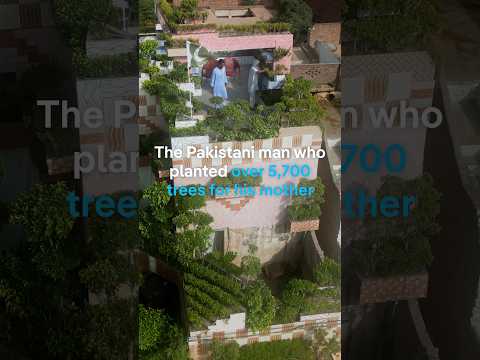 The Pakistani man who planted over 5,700 trees for his mother