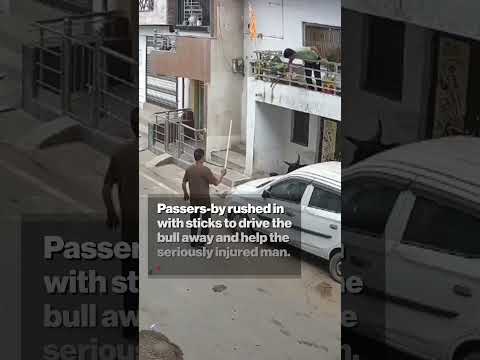 Terrifying Moment Bull Charges At Elderly Man And Hurls Him To Ground In India #shorts