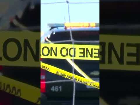Mom’s Pickup Tears Through Youth Soccer Game, Killing 2 and Injuring 11 #shorts