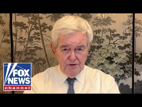 THIS system DOESN’T work: Newt Gingrich