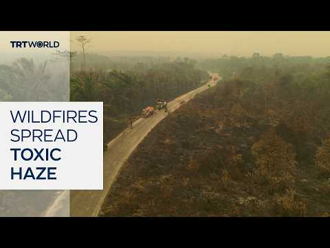 Indonesia wildfires fuel toxic haze across Southeast Asia