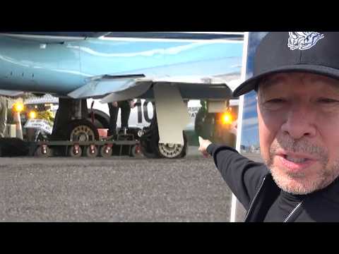 Donnie Wahlberg Praises Pilots After Private Jet Skids Off Runway