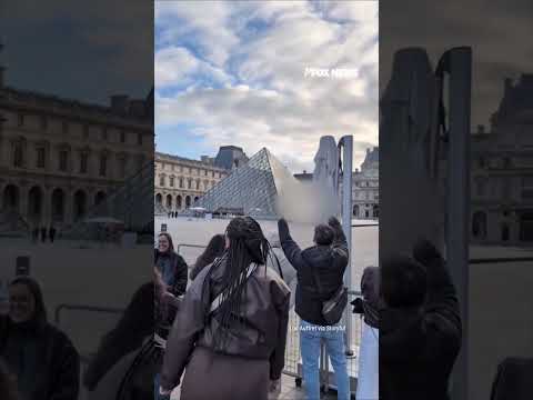 Tourists ERUPT in BOOS as rioters BLOCK Louvre entrance #shorts #world #louvremuseum