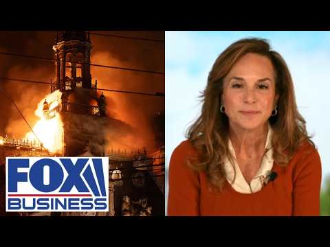 Rep Lisa McClain: The Democratic agenda is what we see in France