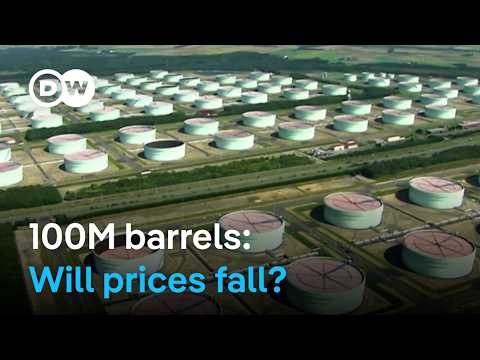 G7 releases 100 million barrels of oil. Will it bring fuel prices down? | DW News
