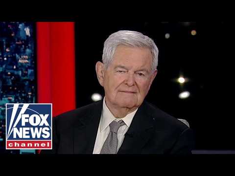 Trump himself is about ‘half the story’: Newt Gingrich