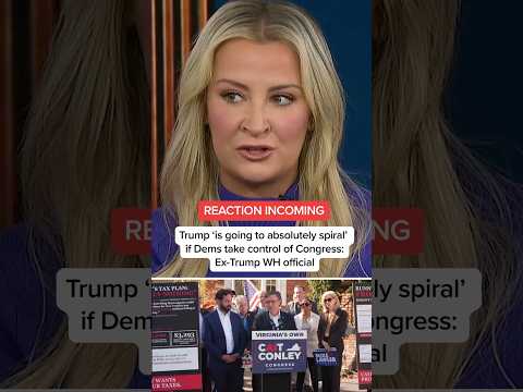 Trump ‘is going to absolutely spiral’ if Dems take control of Congress: Ex-Trump WH official