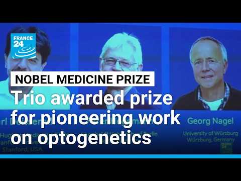 Switching on brain cells: the Nobel-winning science of optogenetics • FRANCE 24 English