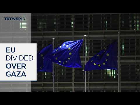 Brussels hunger strike puts pressure on EU over Gaza