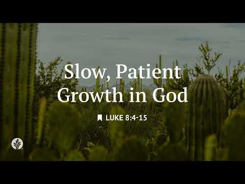Slow, Patient Growth in God