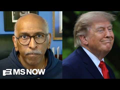 ‘Shut up and listen’: Michael Steele schools new ‘burn it all down’ Dems fighting Trump’s GOP