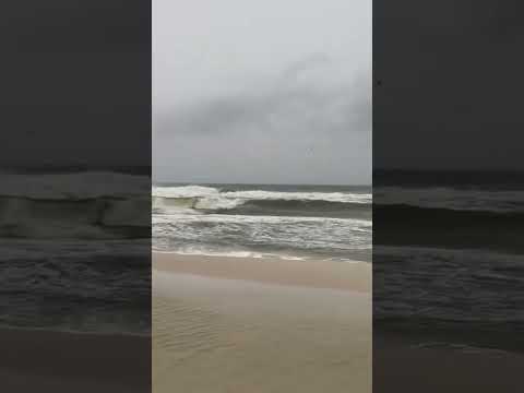 Gulf Coast states brace for Category 3 Hurricane Isaias #shorts