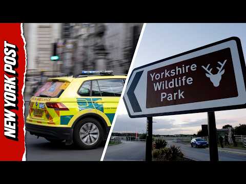 Ambulance Speeds Into Yorkshire Wildlife Park After Man Enters Tiger Enclosure