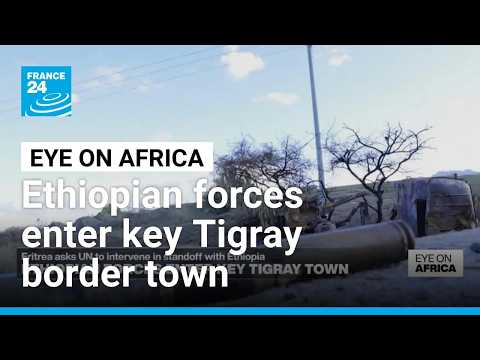 Ethiopian govt forces enter key Tigray town near Eritrea border • FRANCE 24 English