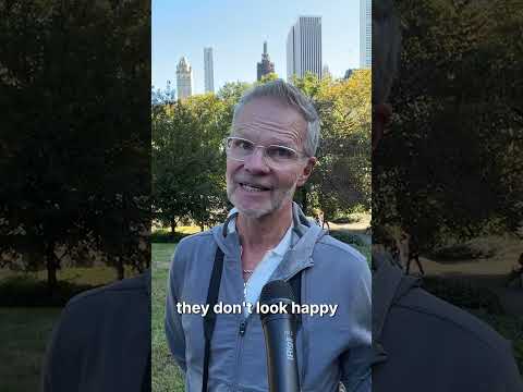 Horse Carriage Driver RIPS Potential Ban #shorts